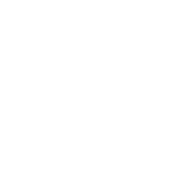 missing-icon